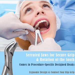 Fórceps dentales manuales aprobados por la CE, instrumento inferior de cuerno de vaca para extracción instrumental - Product Image 3