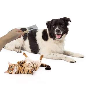 Peigne de toilettage professionnel pour chien et chat manche en bois peigne pour animaux de compagnie en acier inoxydable Double face - Product Image 4