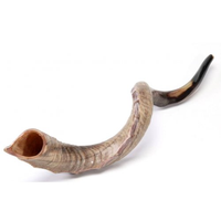 Shofar en corne de bélier de qualité supérieure, poli naturellement, pour la décoration religieuse et la maison, conforme aux exigences casher, thème nautique, taille personnalisée