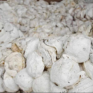 Caucho Natural en Trozos, Grado General, Color Blanco - Product Image 2