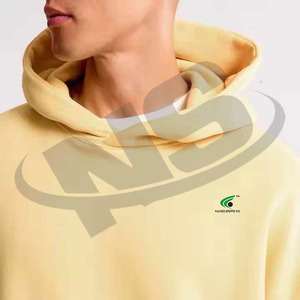 Fournisseur d'usine Sweat-shirt à capuche pour homme Basics en coton mélangé Couleur unie Casual Vêtement d'hiver Logo personnalisé - Product Image 5