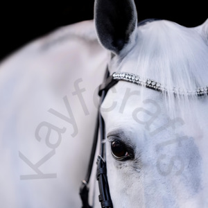 Brida negra acolchada con gel Hanoverian patentada para caballos con banda para cejas de ondas de cristal y tocado anatómico - Product Image 2