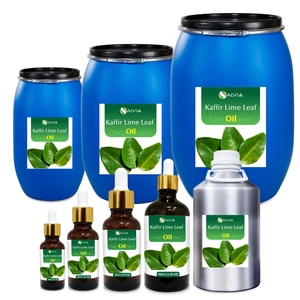 Kaffir Lime Leaf Oil 100% Pure et Naturelle Vente en gros en vrac Prix le plus bas Emballage personnalisé - Product Image 1