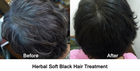Bubuk Henna hitam lembut Herbal organik