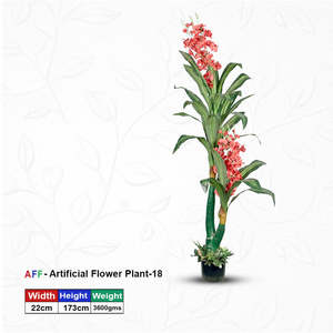 Planta Artificial de Coral, Dracaena en Maceta, 173 cm de Altura, Decoración Interior para Hogar, Oficina, Hotel - Product Image 1