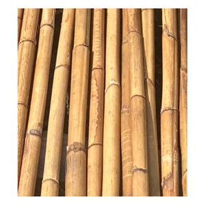 เสาหวายทองคำพรีเมียม 99 ดีทีเอ โรส เรด - วัสดุธรรมชาติเป็นมิตรกับสิ่งแวดล้อม หลายขนาดสำหรับทำเฟอร์นิเจอร์ ผู้จัดจำหน่ายชั้นนำ - Product Image 4