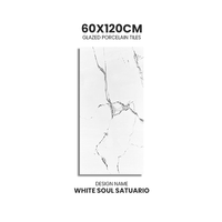 Nouvelle édition 60x120cm Surface brillante polie Carreaux de porcelaine émaillée Finition lisse de texture de marbre pour la zone d'attente et le couloir