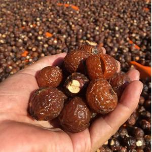 Nueces de jabón de alta calidad de Vietnam, excelente poder espumante y el mejor precio para importadores globales - Product Image 5