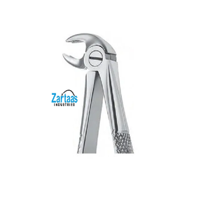 Pince d'extraction en acier inoxydable de haute qualité pour les molaires inférieures des enfants fig. 22S exportateurs et fabricant - Product Image 4