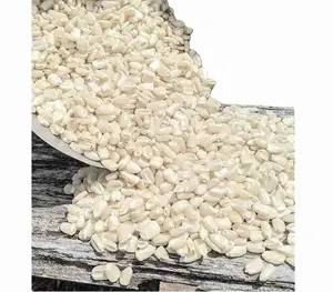 Exportação Top Selling Non GMO Milho Branco & Milho Branco Ar Seco Milho Branco Milho para Venda