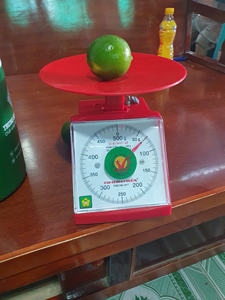 Limes fraîches sans pépins de haute qualité du Vietnam certifiées Global GAP, approvisionnement constant toute l'année pour les marchés d'exportation - Product Image 3