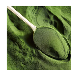 ผงสกัดสาหร่ายสีเขียว ulva Lactuca - Product Image 1