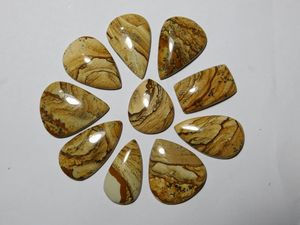 10pcs Picture Jasper Cabochons Natural Precious Gemstone for Jewelry Making 254Cts - Product Image 5