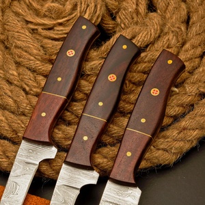 Ensemble de couteaux de chef professionnels 2025, lame en acier Damas, manche en bois, écologique, qualité industrielle OEM, haute durabilité - Product Image 6