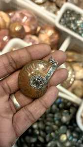 ที่ดีที่สุดคุณภาพสูงขายส่งฟอสซิลธรรมชาติตัวอย่างสีช็อคโกแลตสังข์จี้แอมโมไนต์อาเกตจี้สร้อยคอ - Product Image 4