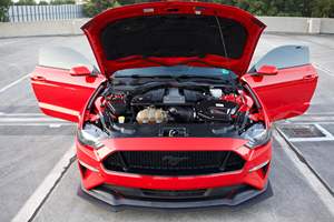 2018 Mustang GT Coupe 6สปีด, V8 460แรงม้า, ไอเสีย borla - Product Image 6