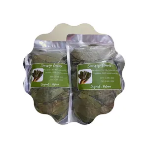 Folhas de Graviola Secas Origem Vietnã - Folha de Graviola Seca Orgânica com Alta Qualidade e Melhor Preço/Sr. Kevin +84 968311314