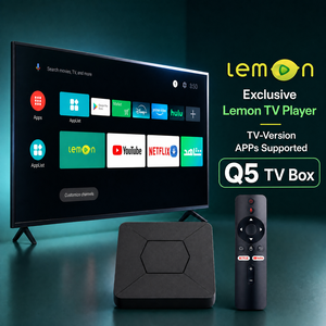 กล่องทีวี BOXPUT Q5 ชิปประมวลผล Allwinner H313 แรม 2GB ความจุ 8GB รองรับความละเอียด 4K Quad Core พร้อม WIFI6 แบบ Dual-Band บลูทูธ 5.2 ระบบปฏิบัติการ IATV Android 10 หน้าจอ UI แบบกำหนดเอง โลโก้บูต และแอปพลิเคชันติดตั้งล่วงหน้า - Product Image 5