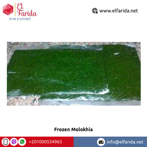 Proveedor Egipcio que Vende Vegetales Congelados de Primera Calidad, Molokhia Altamente Nutritiva, a un Precio de Mercado Confiable - Product Image 4
