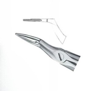 Fórceps de extracción de dientes Fig97, superventas, productos con logotipo personalizado, Instrumentos dentales de acero inoxidable de alta calidad - Product Image 3