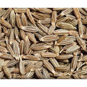 Semillas de Comino Naturales Indias de Alta Calidad de Singapur, 99% de Pureza, Marca RGPL, 12 Meses de Vida Útil, para Cocinar, de Exportadores - Product Image 1
