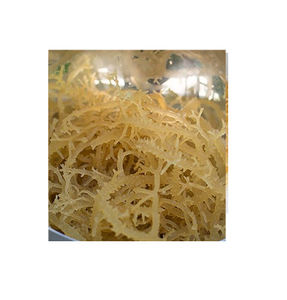 ต้นมอสทะเลแห้งจากต้นมอส - Product Image 2