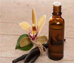 Manufacturers of Best Quality 100% Pure and 100% Natural <b>Vanilla</b> Essential <b>Oil</b> in Bulk Premium Best Grade HighQuality From India - Product Image 6