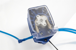 Humidificador Automático Sirio Borotto para Incubadora de Gran Tamaño, con Tasa de Eclosión Estándar Italiana - Product Image 2