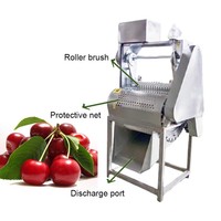 Professionele GTQH-1 PLC & Motor Automatische Kersenontpitter 1,5kW Vermogen 250-500kg/u Opbrengst voor Industriële Fruitverwerking