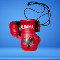 Mini-gants de boxe personnalisés durables en cuir PU, design drapeau national, porte-clés de voiture, pour la vente en gros, OEM Albanie Grèce