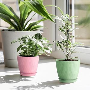 Maceta de plástico colorida para plantas de jardín pequeñas - Product Image 4