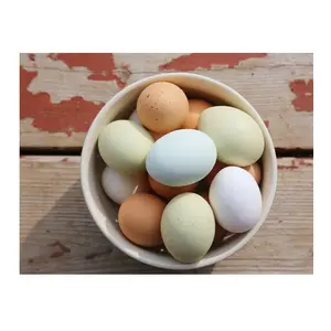 신선한 갈색 테이블 계란 닭고기 계란.