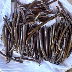 Gousses de vanille de Madagascar de vente chaude, gousses de vanille bon marché avec le meilleur prix de haute qualité 14-18cm Grade a Madagascar - Product Image 1