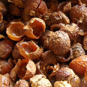 Savon naturel à base de plantes séchées, savon aux noix, ingrédient de saponine pour shampooing, soins de la peau et soins personnels, pour utilisation comme détergent de cuisine - Product Image 4