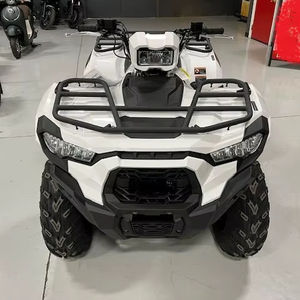 Nouveaux Véhicules Utilitaires 4x4 All-Best 2025 Brutes Force 450 en Stock - Product Image 1