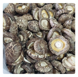 Champignons shiitake naturels de qualité supérieure Source sauvage frais et séchés-directement auprès des meilleurs fournisseurs du Vietnam - Product Image 5