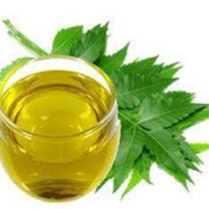 100% Pure Organic Neem Oil Extrait de graines pressées à froid Booster du système immunitaire Anti-oxydant sauvage cultivé emballé dans une bouteille - Product Image 2