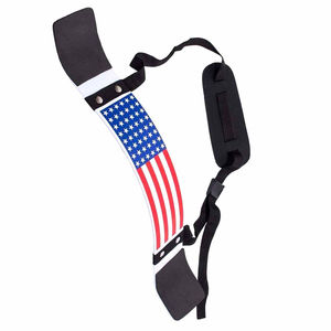 Venta caliente entrenamiento de gimnasia utiliza equipo de fitness brazo Blaster levantamiento de pesas bíceps brazo Blaster - Product Image 2