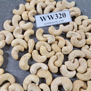 ซันติโกเวียดนามเม็ดมะม่วงหิมพานต์ W320 W320เคอร์เนลคาจูแบดัมตัวอย่างฟรี - Product Image 1