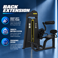 Appareil de musculation à poulies BN pour l'entraînement des muscles du bas du dos et des fessiers – Machine commerciale d'extension dorsale