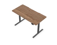 Bureau debout électrique moderne réglable 60"x30" rectangulaire pour bureau à domicile, table d'ordinateur avec panneau en bois, poste de travail