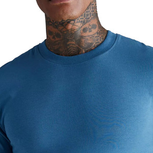 Best Selling Men Stretchable Heather Sky <b>Blue</b> Colour Blank Gym Wear Muscle Fit T Shirt With O Neck For Sale - Product Image 2