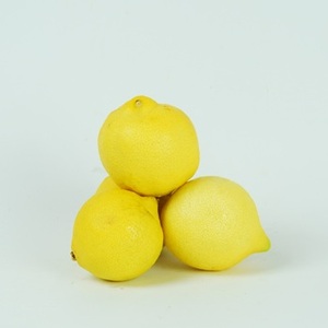 Limones Frescos (Eureka y Lisboa) - Product Image 3