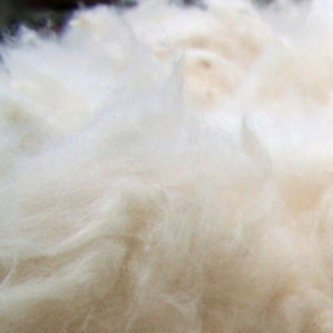 Residuos de Algodón de Alta Calidad, Fibra de Algodón Peinada, Residuos Textiles de Algodón para Hilado, Tejido y Relleno +84379007507-Sra. Amy - Product Image 6