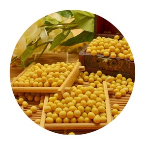 Sac de 50kg germination et graines de soja jaune sec de qualité alimentaire soja non OGM - Product Image 2