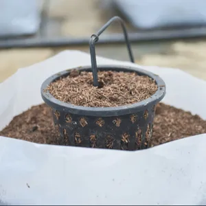 Buffered Coco substrat Pith, untuk buah lembut dalam 2000 liter, tas siap untuk digunakan dalam pot dan tanah