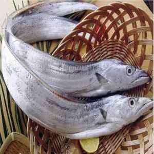 Pescado de cinta congelada/Pescado de cinta fresca/Pescado de cinta - Product Image 3