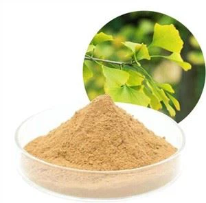 Food Supplement <strong>Ginkgo</strong> Biloba <strong>Leaf</strong> <strong>Extract</strong> 24% Flavones 6% Lactones Powder - Product Image 4