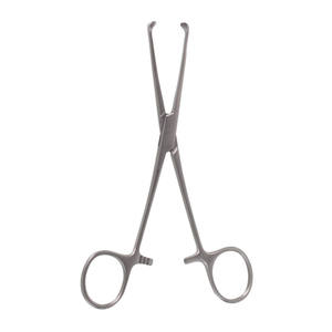 Alta calidad 6 Allis Tissue Forceps Dientes Acero inoxidable CE ISO Aprobado Instrumentos quirúrgicos por Surgiright Instruments - Product Image 1