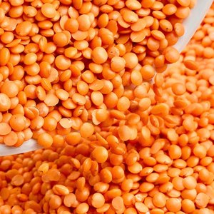 Lentilles rouges biologiques fraîches et pures riches en protéines et en fibres pour la cuisson quotidienne Emballé en vrac - Product Image 5